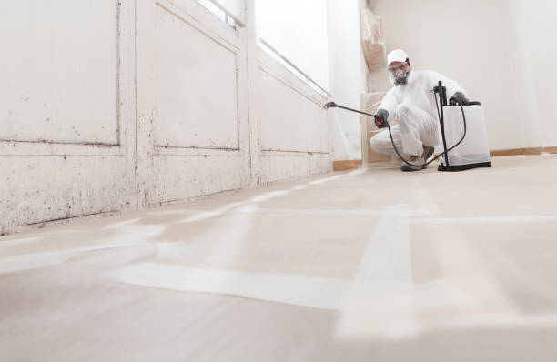 24/7 Emergency Attic Mold Remediation experts in Revere, MA